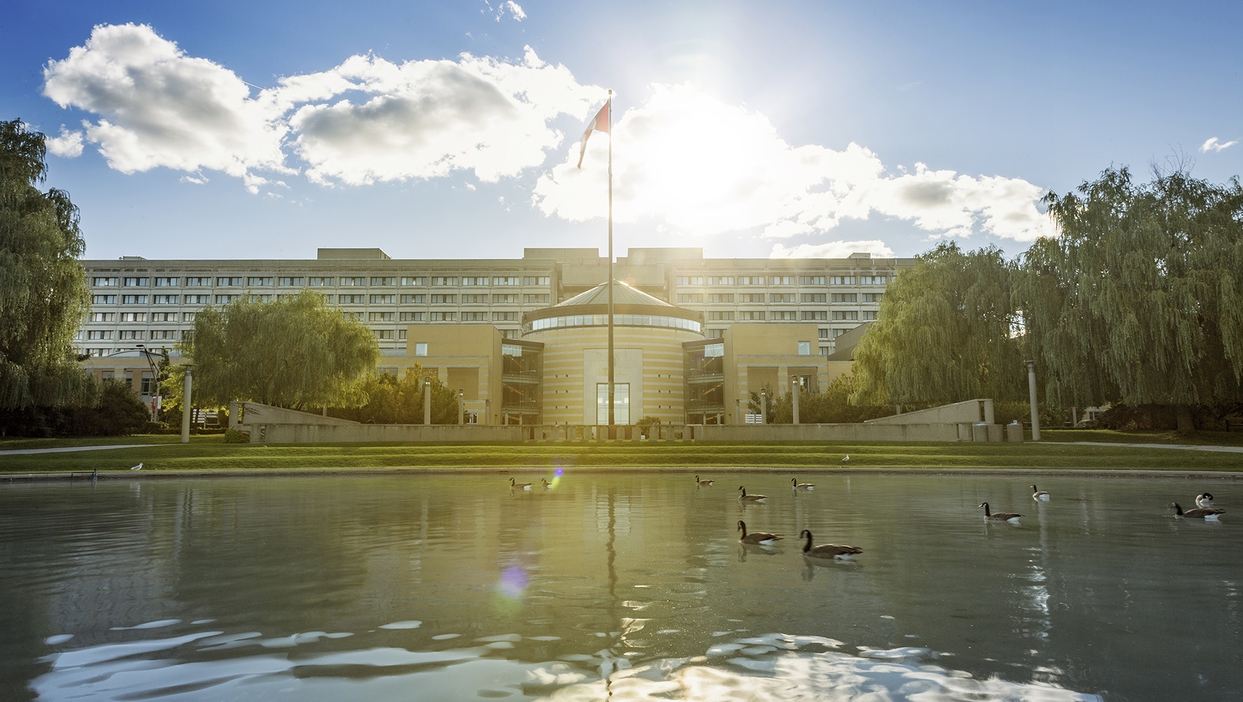 YORK University Image