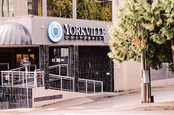 Yorkville University