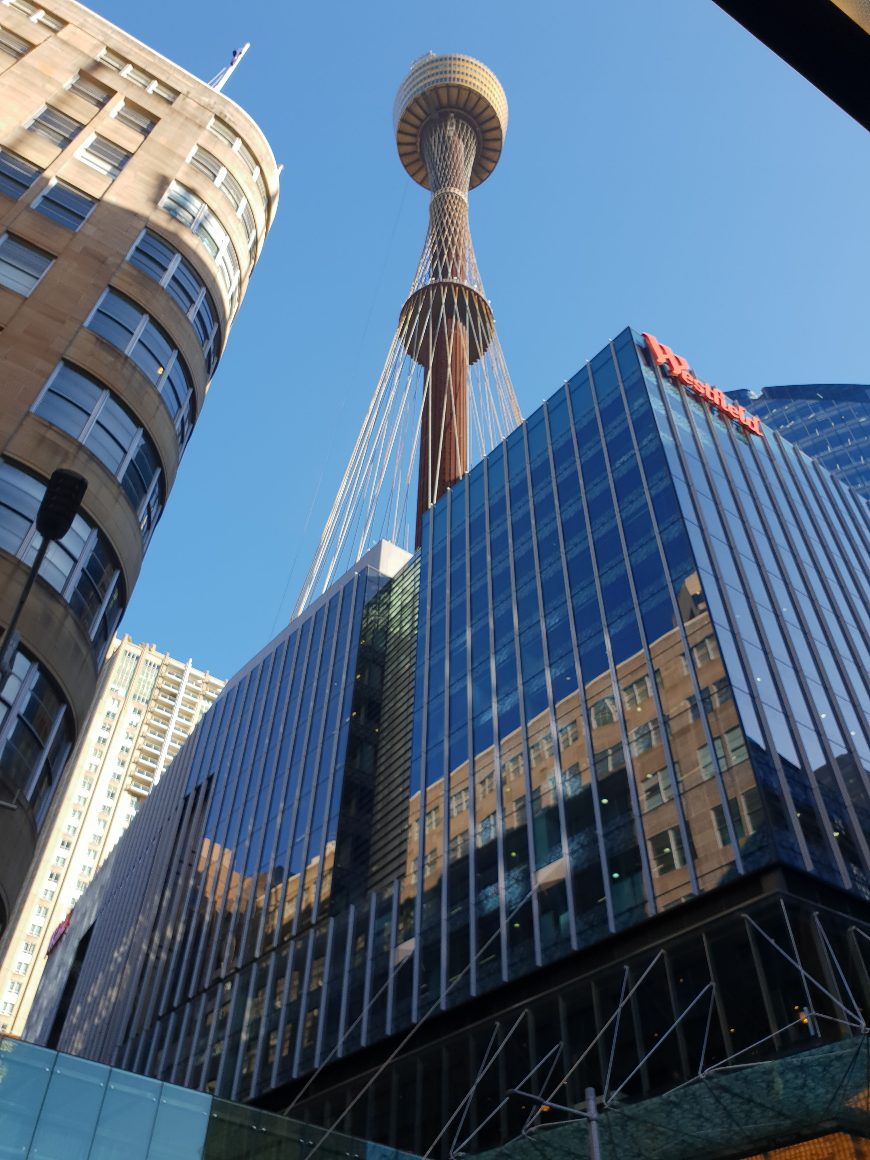 National Academy of Professional Studies (NAPS) Image